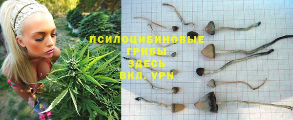 COCAINE Михайловка