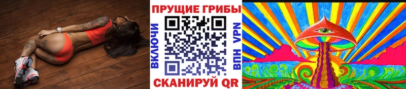 Псилоцибиновые грибы Magic Shrooms  Купить  Озёрск 
